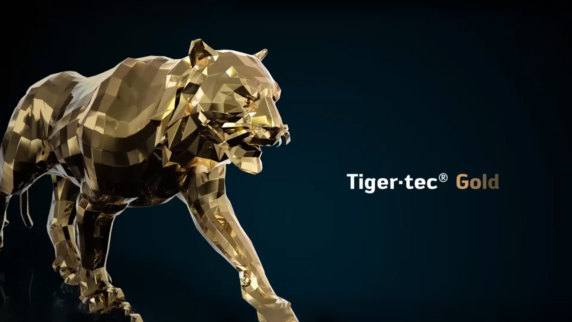 Walter Tools Tiger Tec Gold
